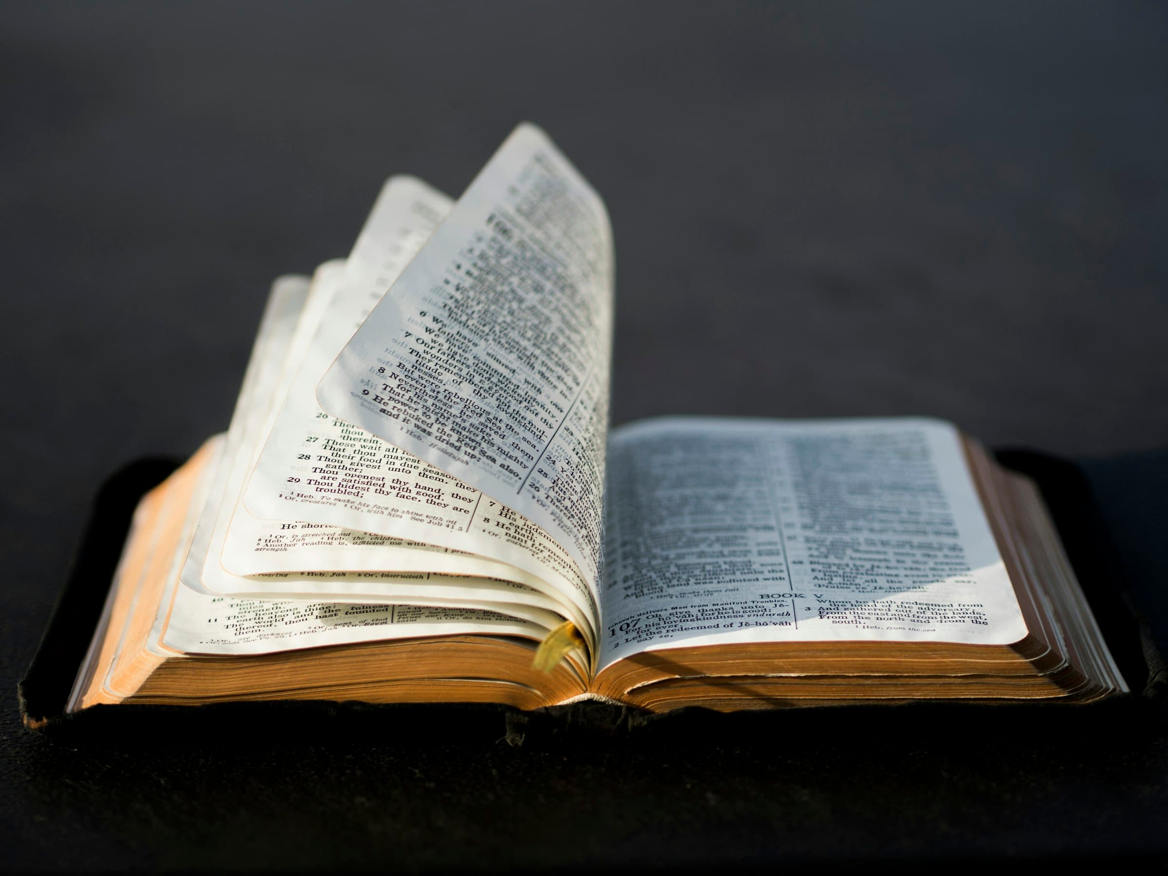 An open Bible resting in soft light — a quiet moment with Scripture